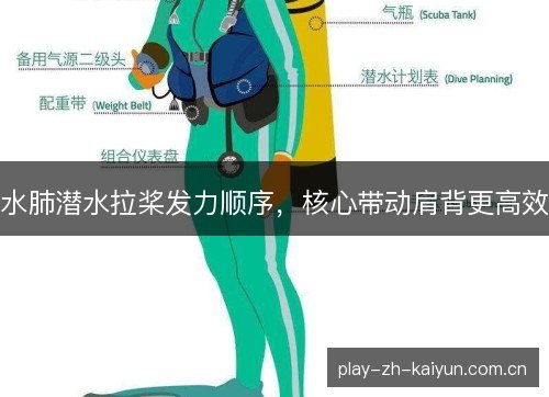 水肺潜水拉桨发力顺序，核心带动肩背更高效